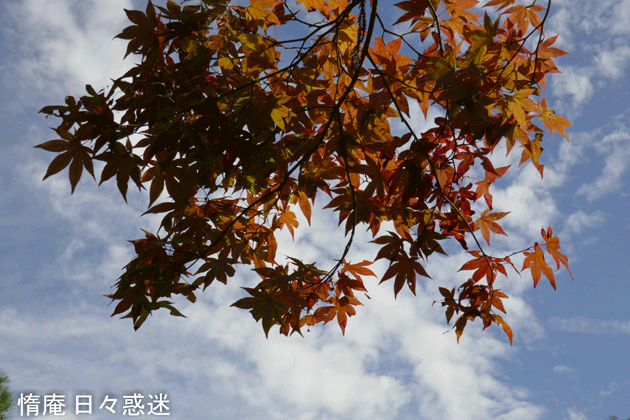 e0346064_14214582.gif