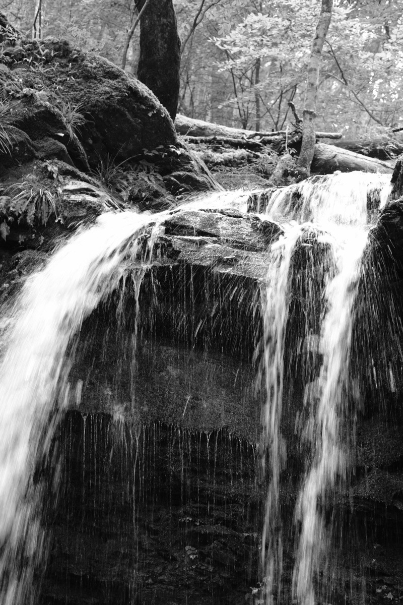 c0084666_02145190.jpg