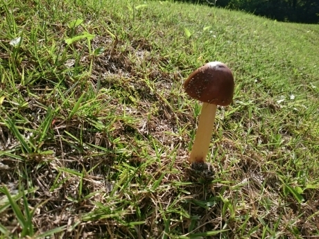 c0188367_13471806.jpg