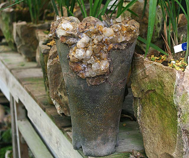 c0068168_9425072.jpg