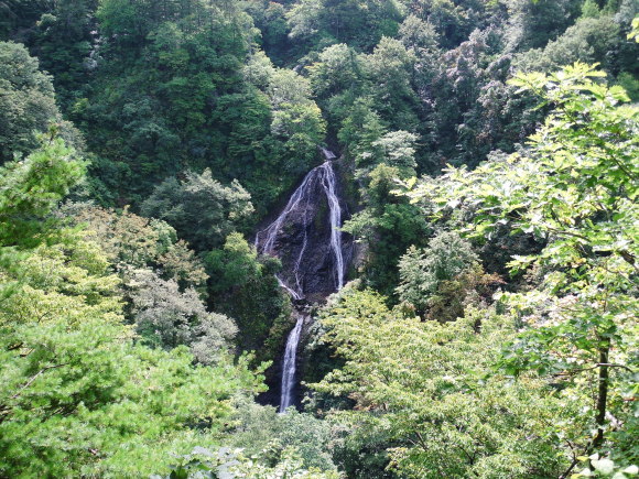 c0325468_20105773.jpg