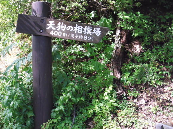 c0325468_20110404.jpg