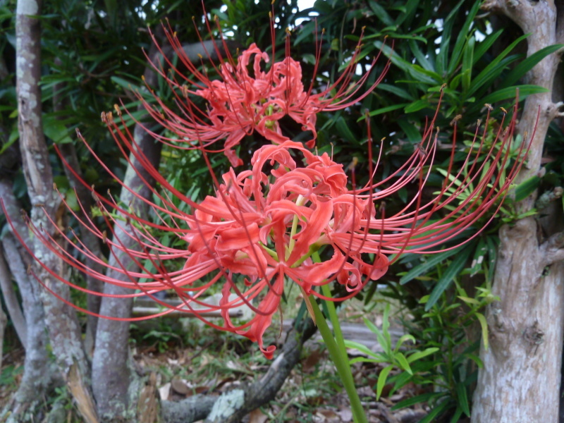 e0278968_23320437.jpg