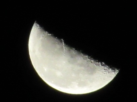 d0109373_0444055.jpg