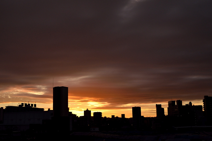 f0108478_20374666.jpg