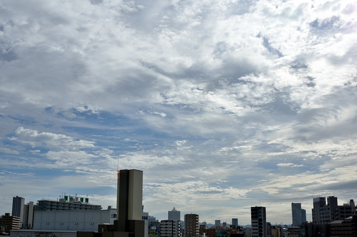 f0108478_2040151.jpg
