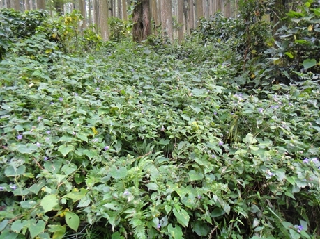 f0372285_10203179.jpg