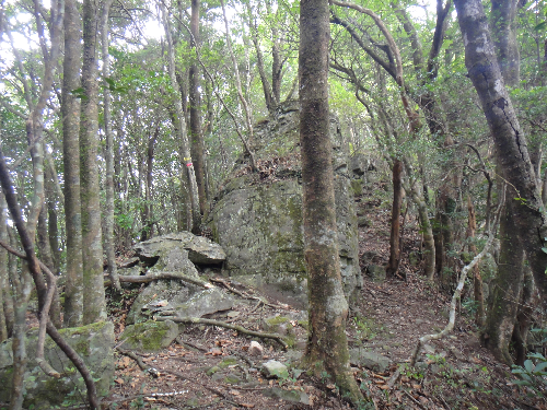 f0372285_10292641.png