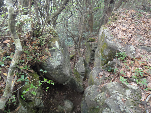 f0372285_10295504.png