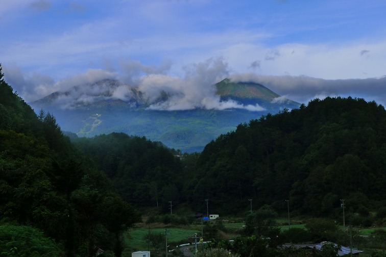 a0130586_8582497.jpg
