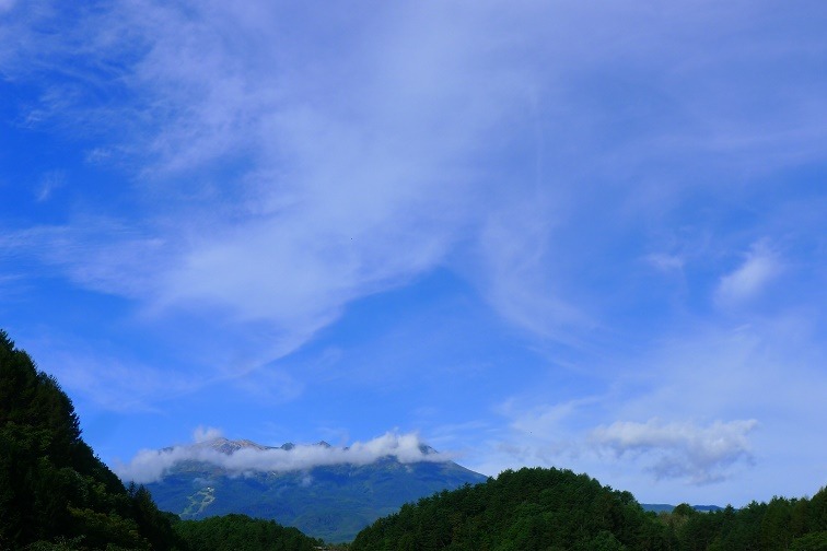 a0130586_9172068.jpg