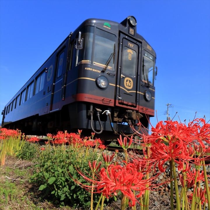 a0335890_15390476.jpg