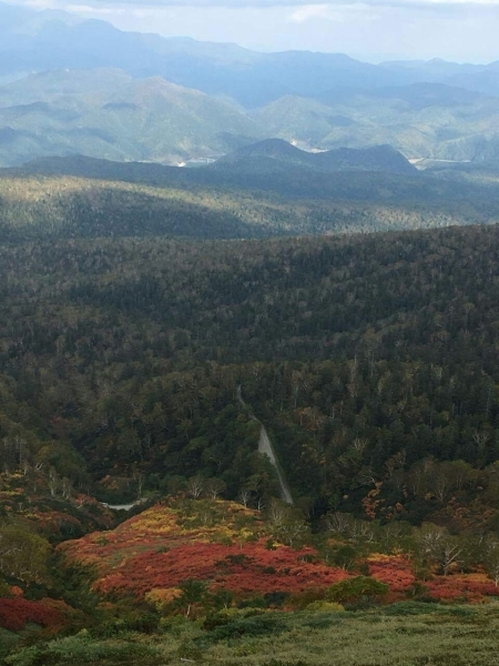 f0204591_16300902.jpg
