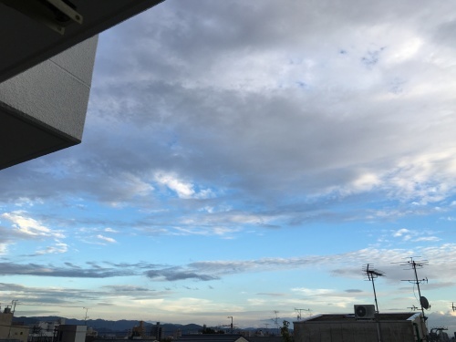 f0347891_20175838.jpeg
