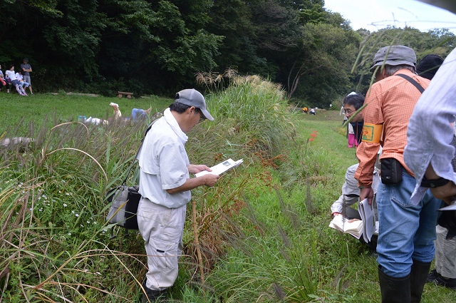 c0124100_1146138.jpg