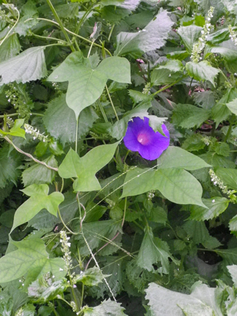 f0239100_2324473.jpg