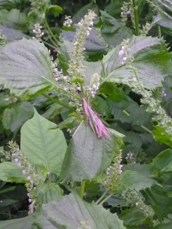 f0239100_23294410.jpg