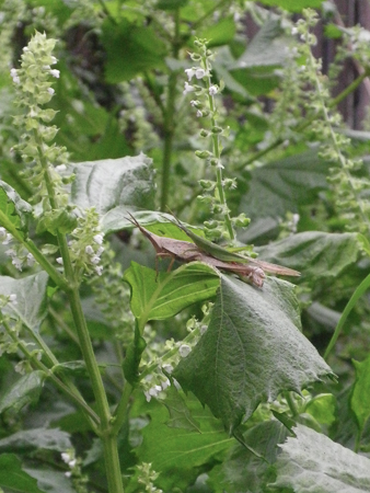 f0239100_2330914.jpg