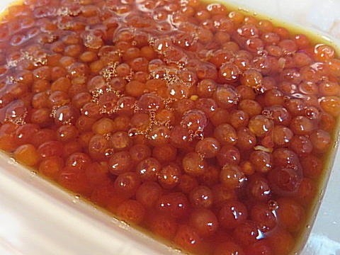 d0046702_5253648.jpg