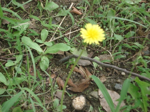 e0353802_18003311.jpg