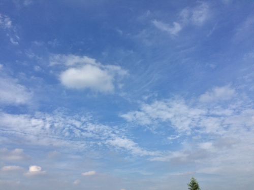 e0075705_13263008.jpg
