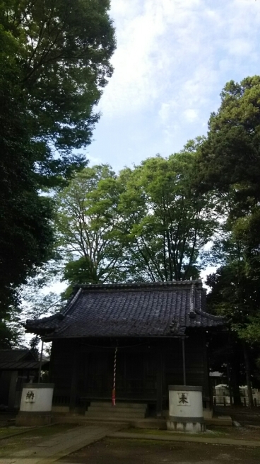 f0113108_08300189.jpg