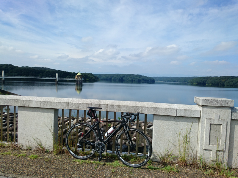 f0100911_22242952.jpg