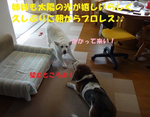 f0121712_14325359.jpg