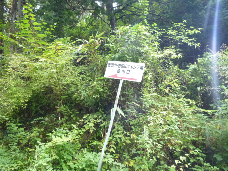 d0170615_1073864.jpg