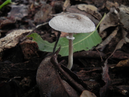 e0352220_15175534.jpg