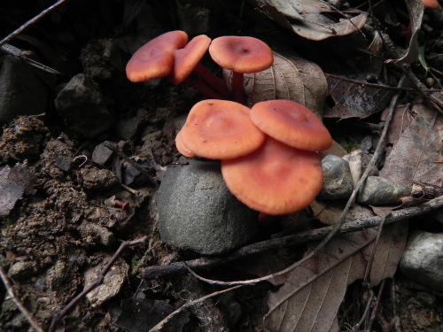 e0352220_15251079.jpg