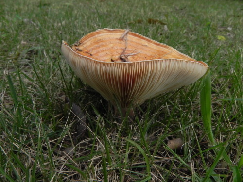 e0352220_15340512.jpg
