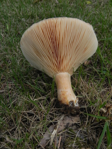 e0352220_15343952.jpg