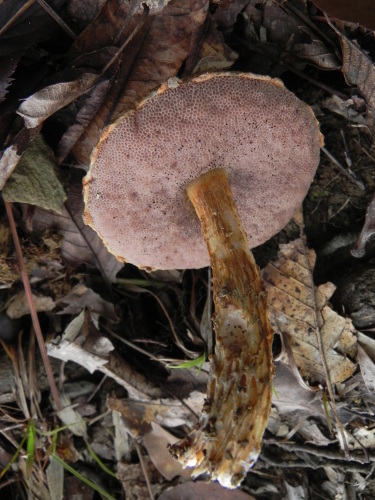 e0352220_15353652.jpg