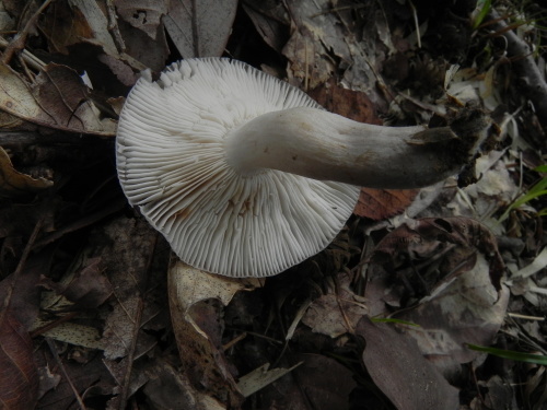 e0352220_15401480.jpg