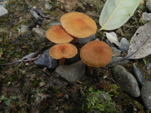 e0352220_15420296.jpg