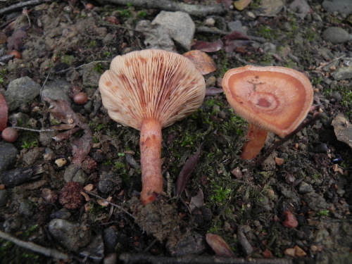 e0352220_15560312.jpg