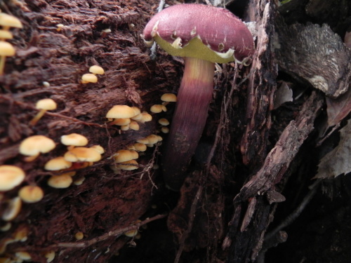 e0352220_16015190.jpg