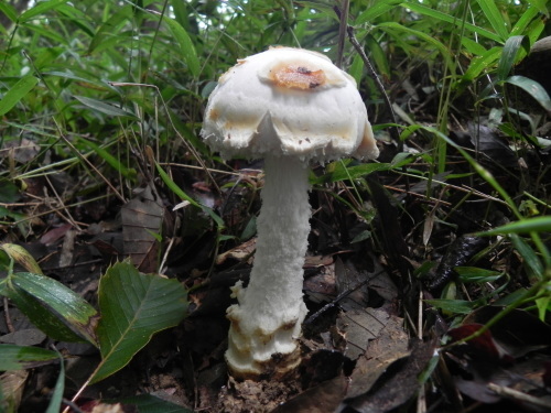 e0352220_16055183.jpg