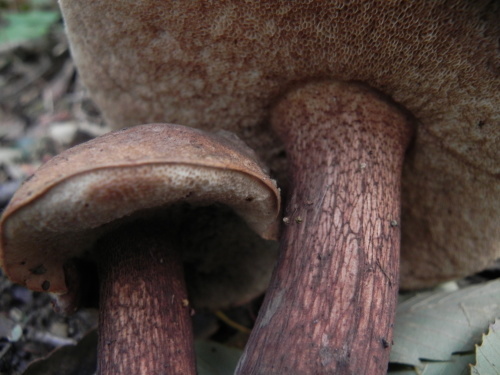 e0352220_16340506.jpg
