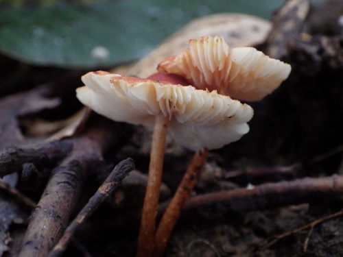 e0352220_16443600.jpg