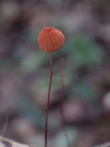 e0352220_16454868.jpg