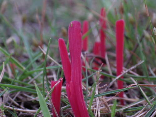 e0352220_16521120.jpg