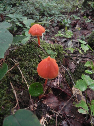 e0352220_21215056.jpg