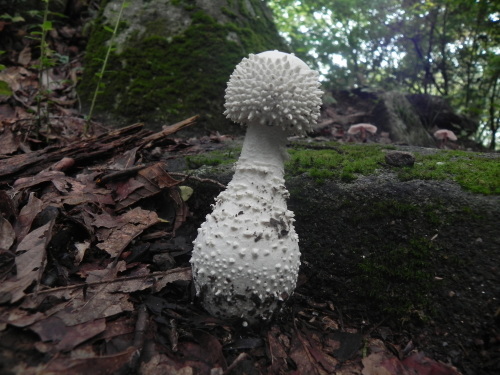 e0352220_21220916.jpg