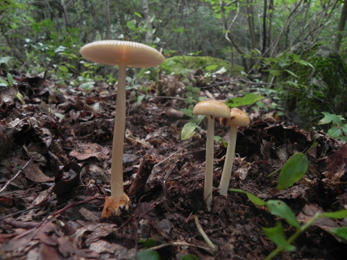 e0352220_21225150.jpg