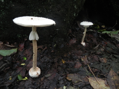 e0352220_21230765.jpg