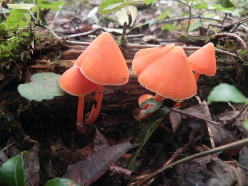 e0352220_21270168.jpg
