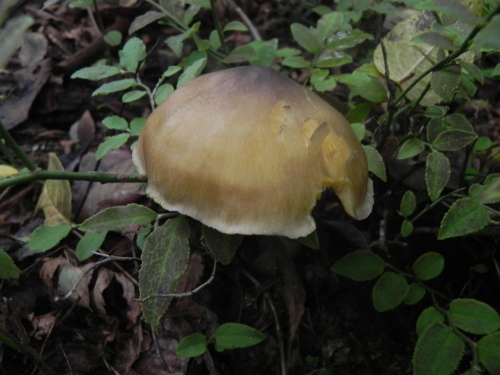 e0352220_21274408.jpg