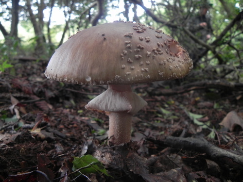 e0352220_21285733.jpg